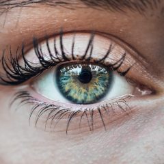 De voordelen van lenzen